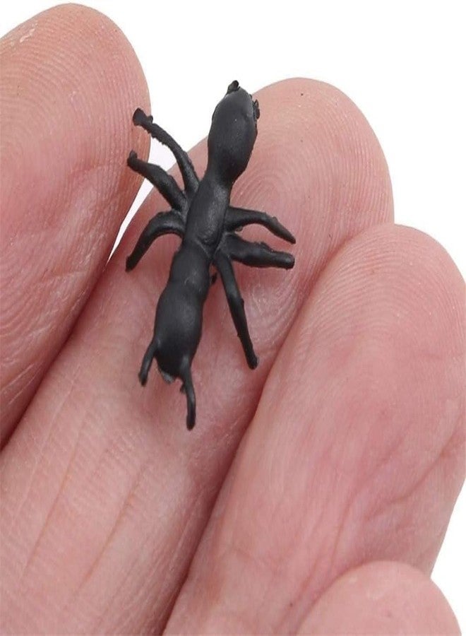 Czhotg 100Pcs Fake Black Ant Realistic Imitation for Halloween Prank and Sophisticated Design Executive Desk Gag and Practical Jokes Gag, Decorations,This product is not suitable for children under 12 - Image 4